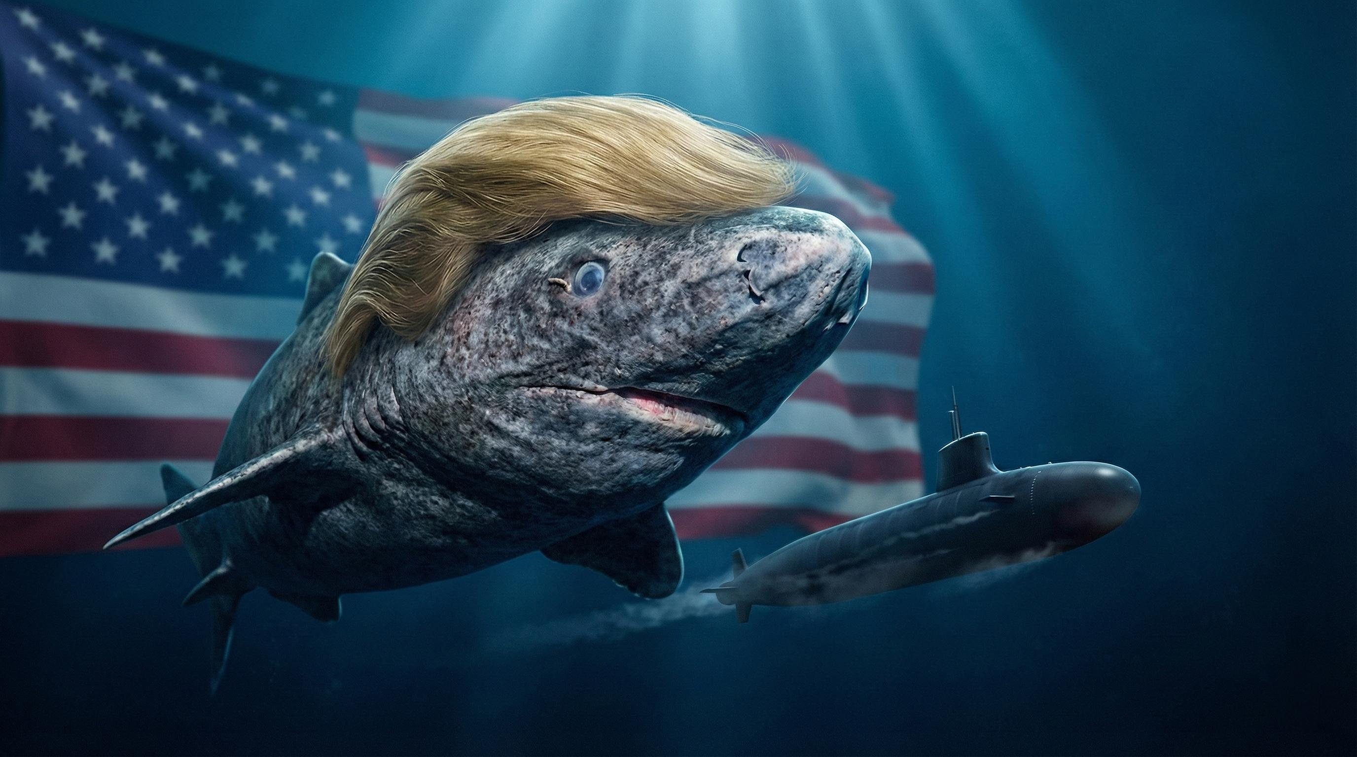 The True Greenland Shark with American flag and submarine